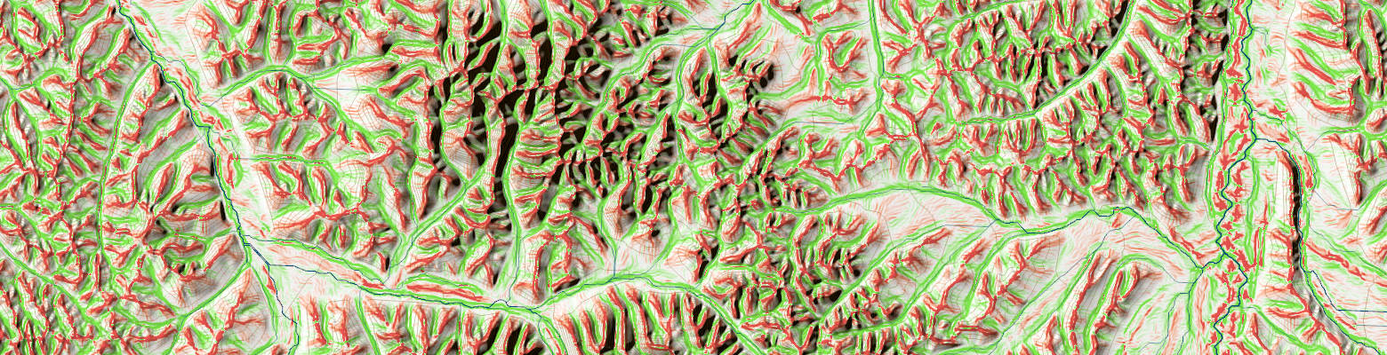 Конвергентность